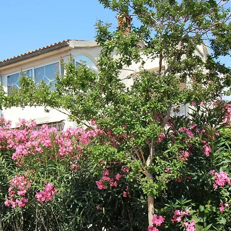 Apartment In - Istrien 10047